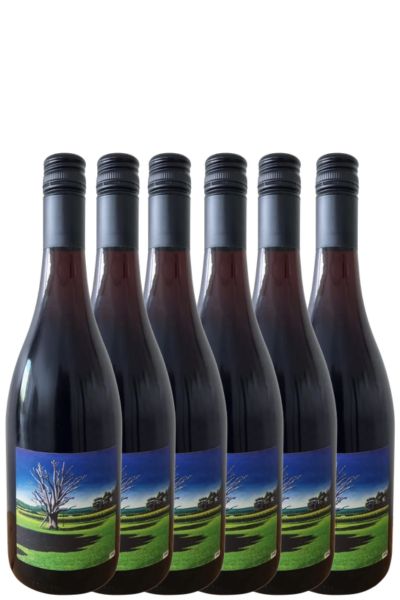 1562 Pinot Noir 2023 6 Pack