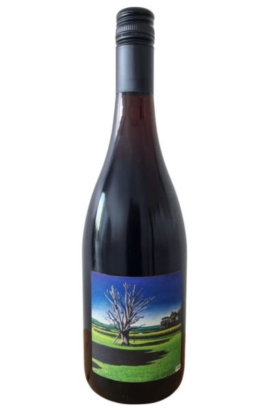 1562 Moss Vale Pinot Noir 2023