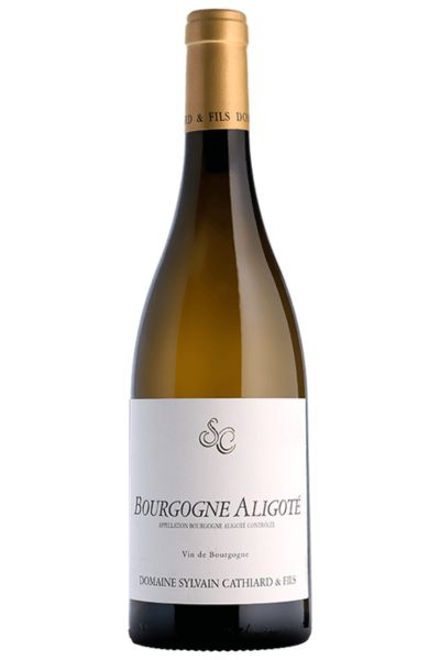 Sylvain Cathiard Bourgogne Aligote 2024
