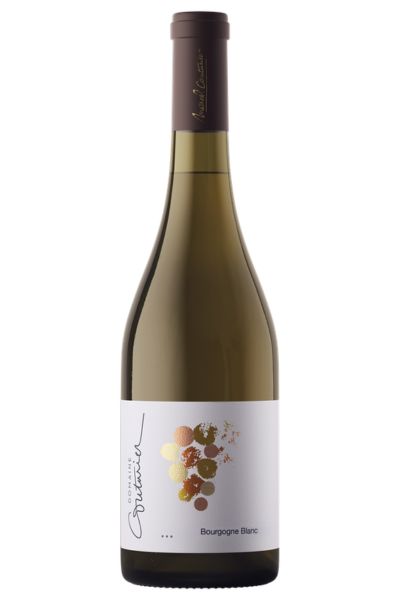 Marcel Couturier Bourgogne Blanc 2024