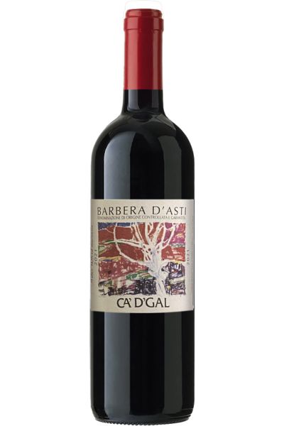 Ca dGal Barbera dAsti 2021