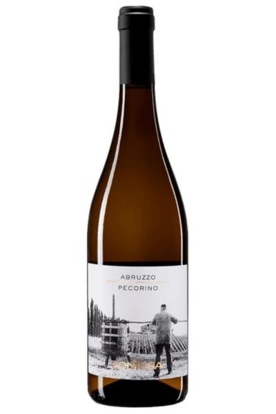 Contesa Pecorino Abruzzo 2024