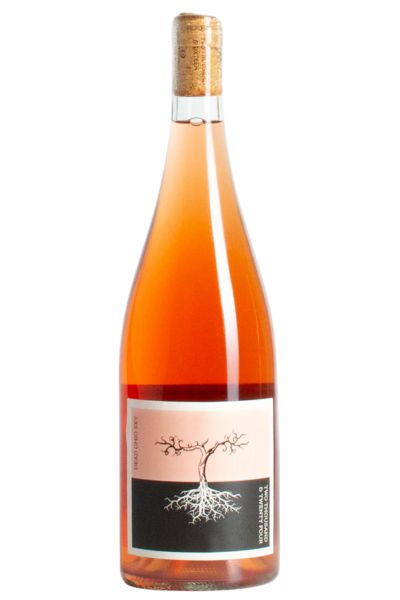 Poppelvej 'Dead Ohio Sky' Rose 2024