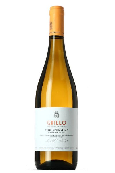 Pianogrillo Grillo 2023