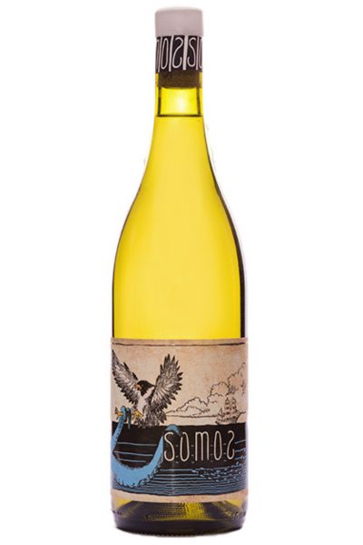 Somos Blanquito 2022